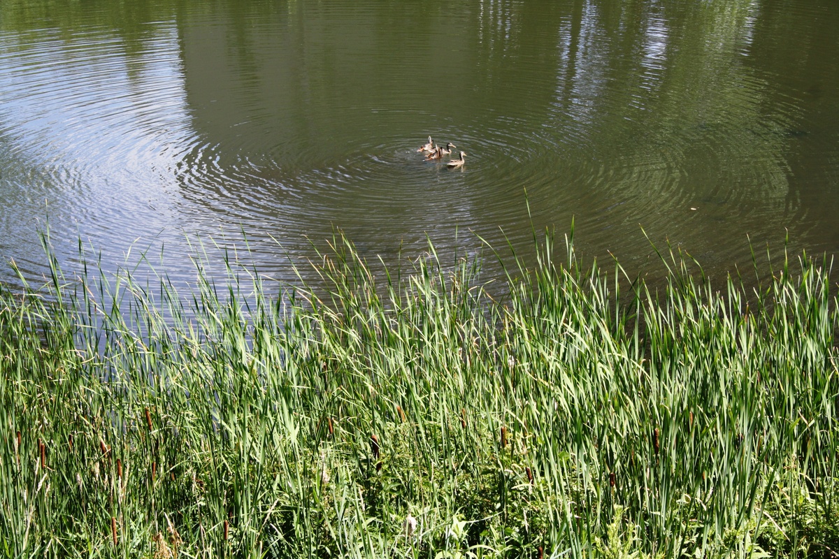 Photo 55